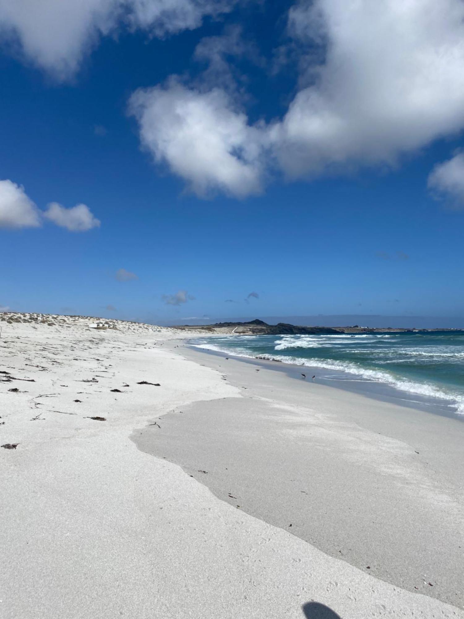 Punta De Choros Lodge Экстерьер фото